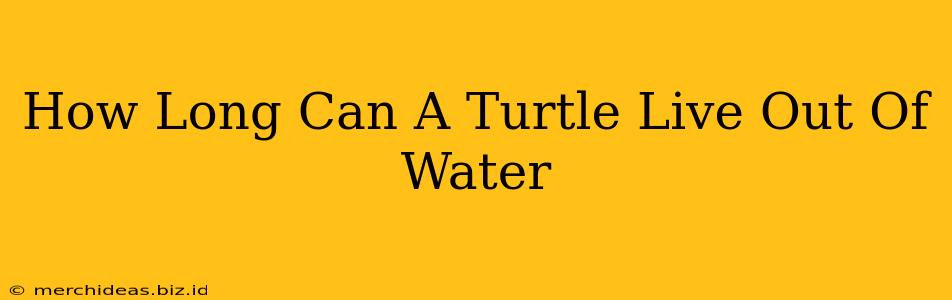 How Long Can A Turtle Live Out Of Water