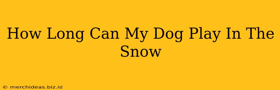 How Long Can My Dog Play In The Snow