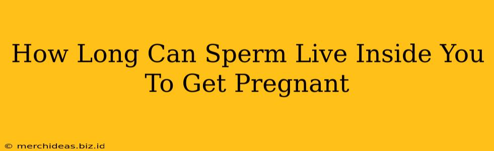 How Long Can Sperm Live Inside You To Get Pregnant