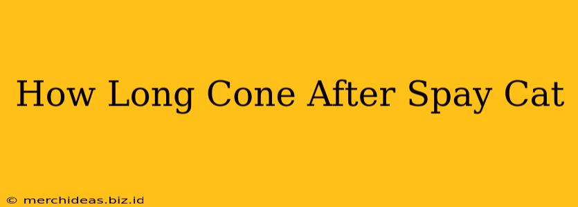 How Long Cone After Spay Cat