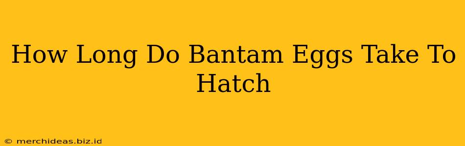 How Long Do Bantam Eggs Take To Hatch