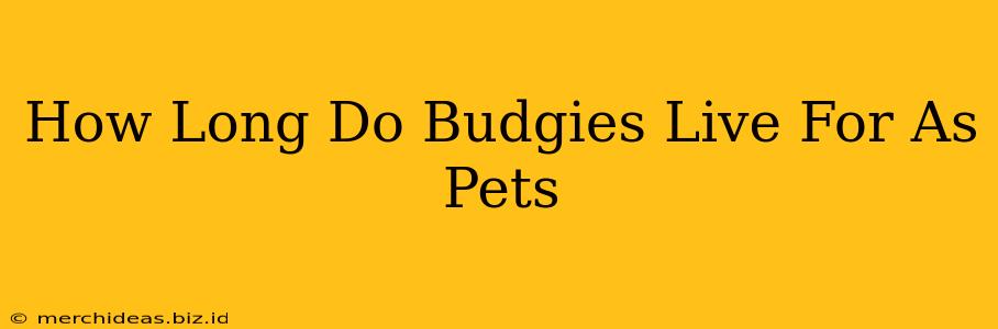 How Long Do Budgies Live For As Pets