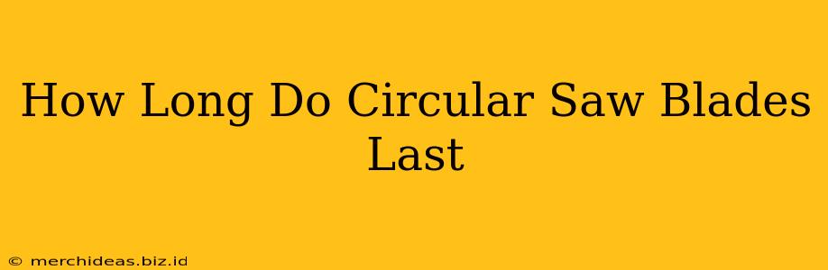 How Long Do Circular Saw Blades Last