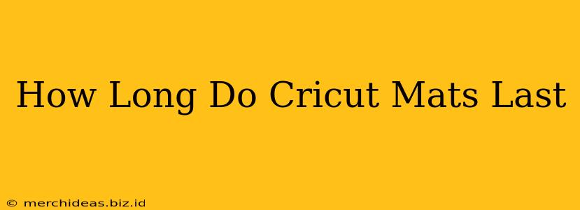 How Long Do Cricut Mats Last