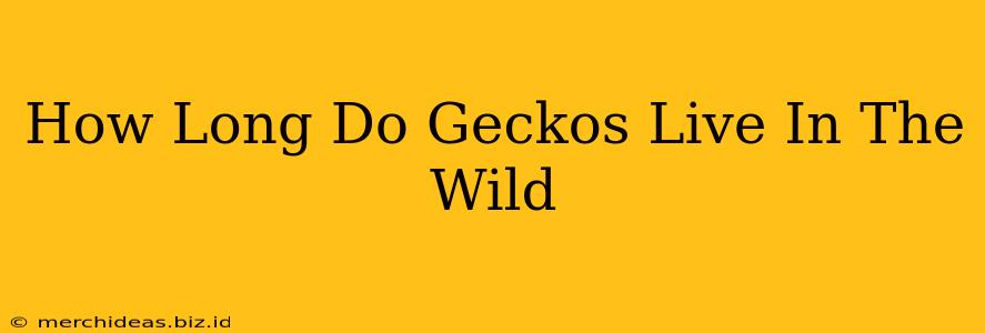 How Long Do Geckos Live In The Wild