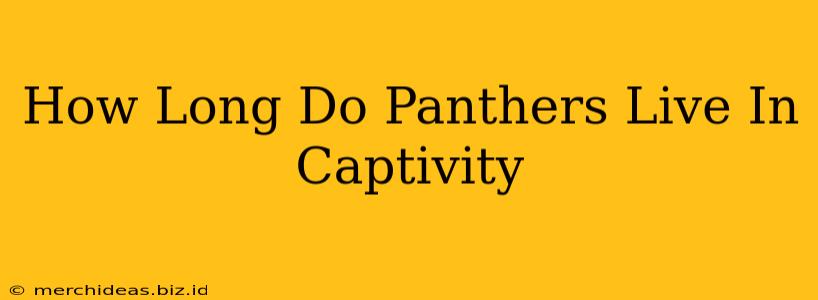 How Long Do Panthers Live In Captivity