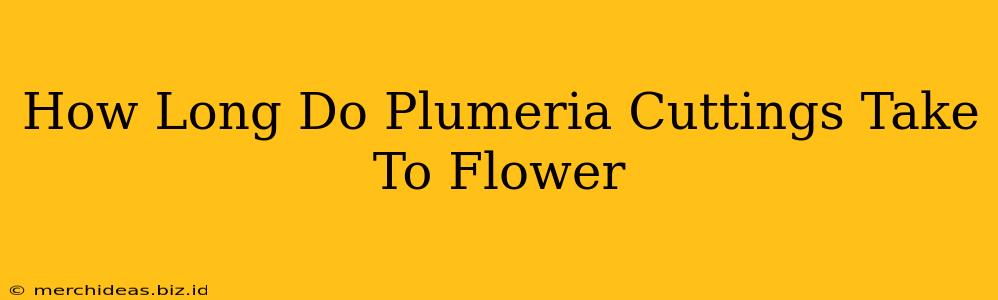 How Long Do Plumeria Cuttings Take To Flower