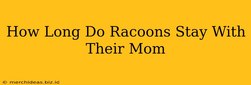 How Long Do Racoons Stay With Their Mom