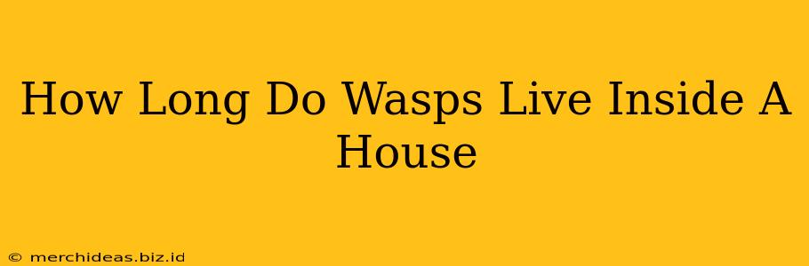 How Long Do Wasps Live Inside A House