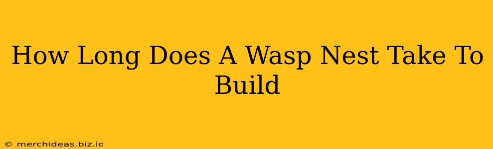How Long Does A Wasp Nest Take To Build