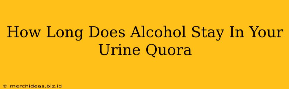 How Long Does Alcohol Stay In Your Urine Quora