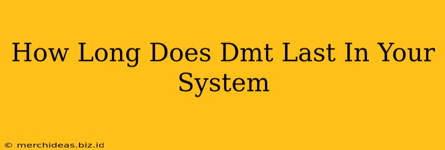 How Long Does Dmt Last In Your System