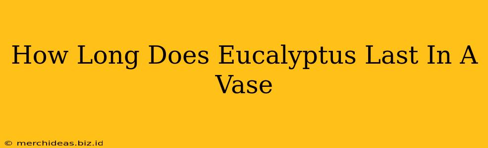 How Long Does Eucalyptus Last In A Vase