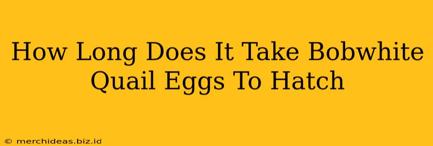 How Long Does It Take Bobwhite Quail Eggs To Hatch