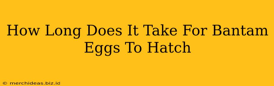 How Long Does It Take For Bantam Eggs To Hatch