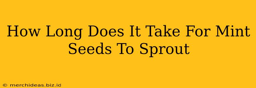 How Long Does It Take For Mint Seeds To Sprout