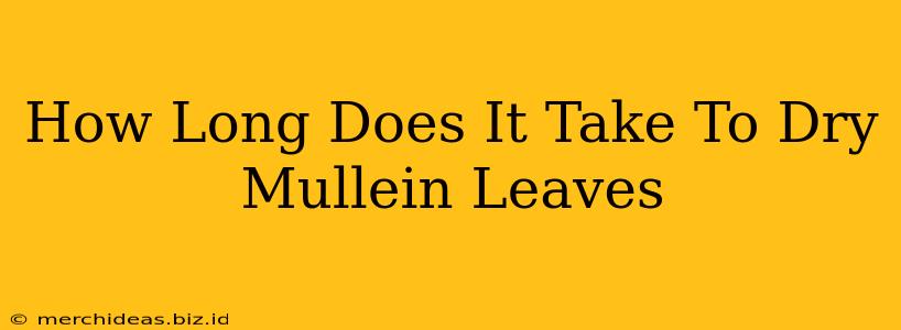 How Long Does It Take To Dry Mullein Leaves