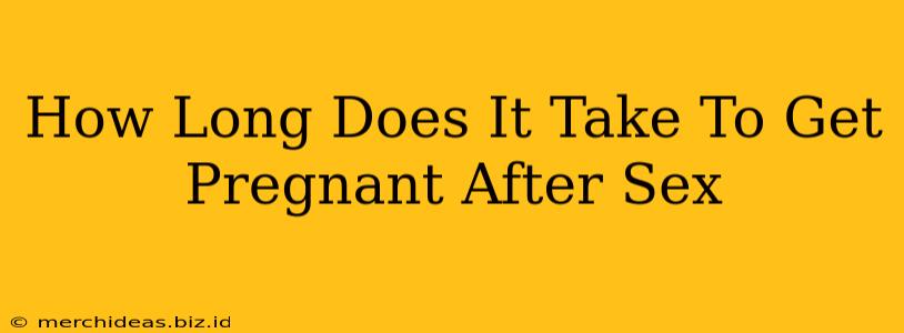 How Long Does It Take To Get Pregnant After Sex