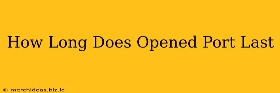 How Long Does Opened Port Last
