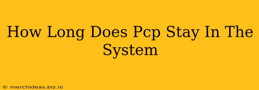 How Long Does Pcp Stay In The System