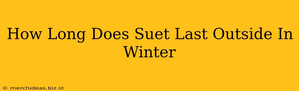 How Long Does Suet Last Outside In Winter