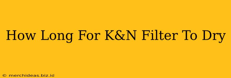 How Long For K&N Filter To Dry