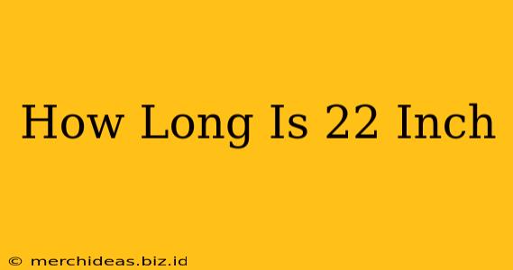 How Long Is 22 Inch