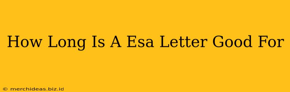 How Long Is A Esa Letter Good For