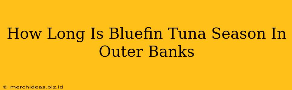 How Long Is Bluefin Tuna Season In Outer Banks