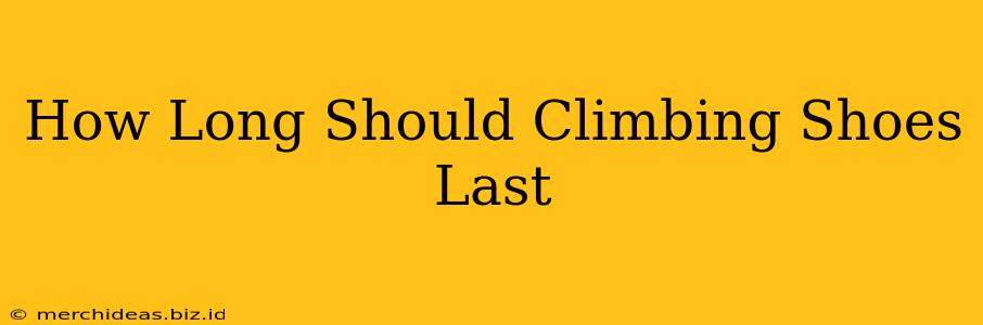 How Long Should Climbing Shoes Last