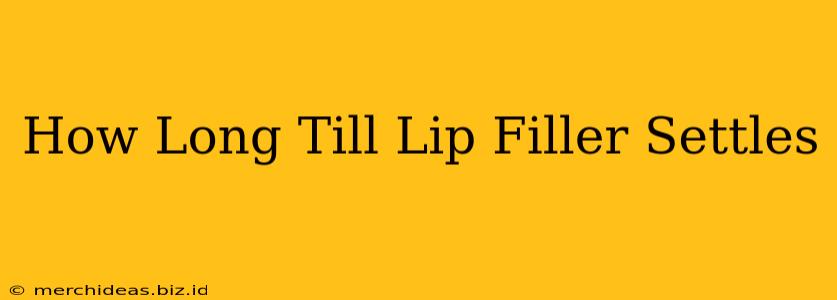 How Long Till Lip Filler Settles