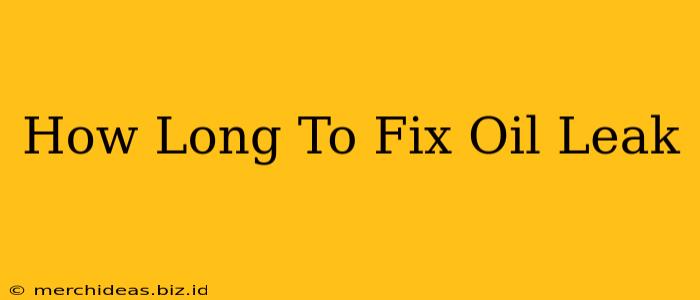 How Long To Fix Oil Leak