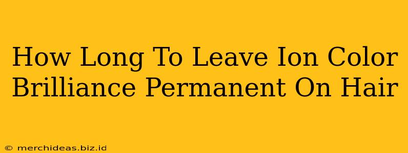 How Long To Leave Ion Color Brilliance Permanent On Hair