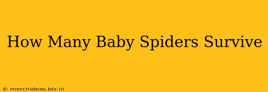How Many Baby Spiders Survive