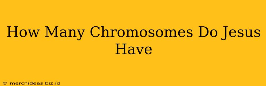 How Many Chromosomes Do Jesus Have