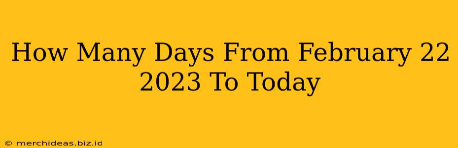 How Many Days From February 22 2023 To Today