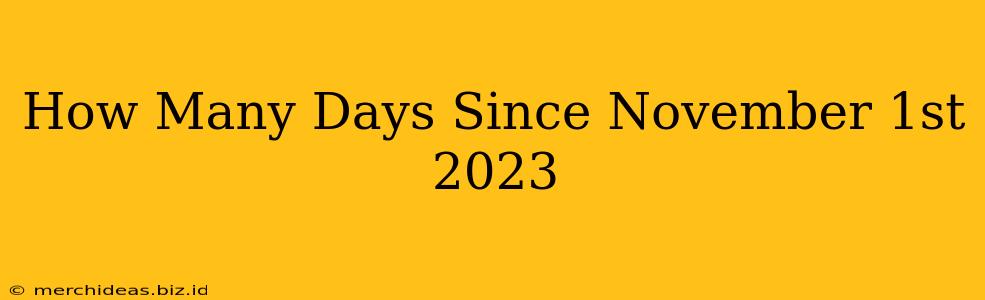 How Many Days Since November 1st 2023
