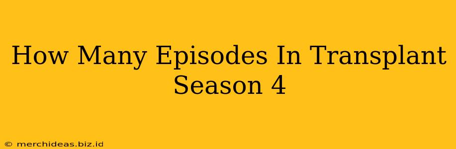 How Many Episodes In Transplant Season 4
