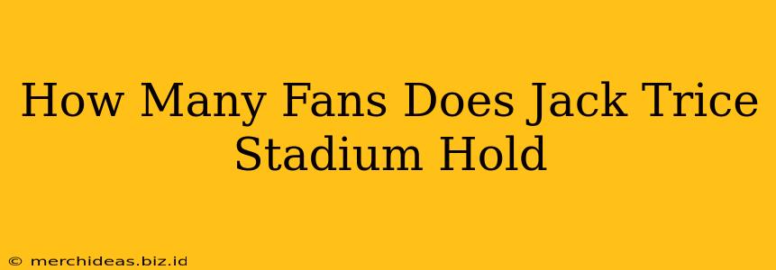 How Many Fans Does Jack Trice Stadium Hold