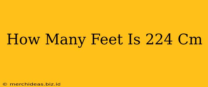 How Many Feet Is 224 Cm