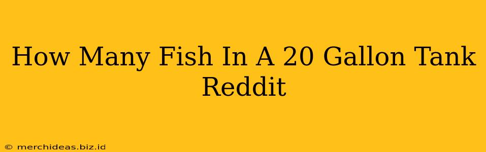How Many Fish In A 20 Gallon Tank Reddit