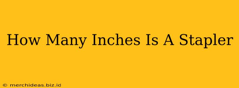 How Many Inches Is A Stapler