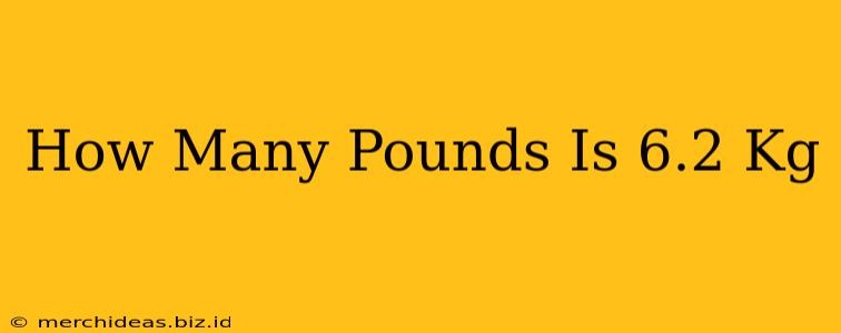 How Many Pounds Is 6.2 Kg