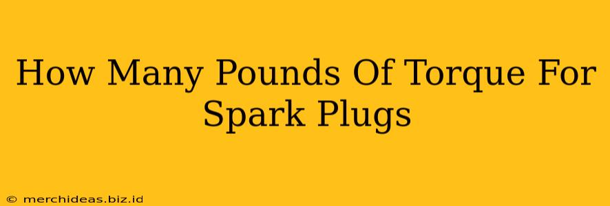 How Many Pounds Of Torque For Spark Plugs
