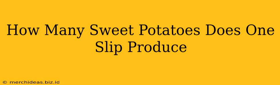 How Many Sweet Potatoes Does One Slip Produce