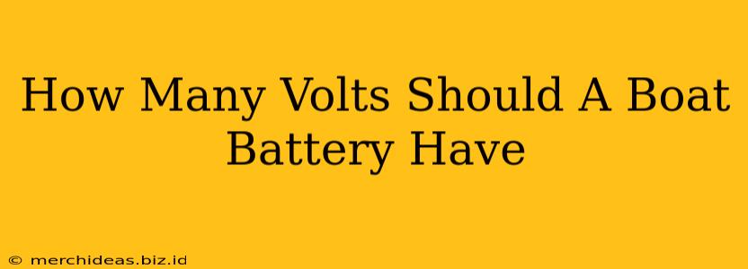 How Many Volts Should A Boat Battery Have