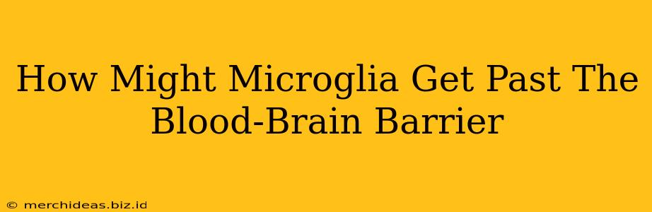 How Might Microglia Get Past The Blood-Brain Barrier