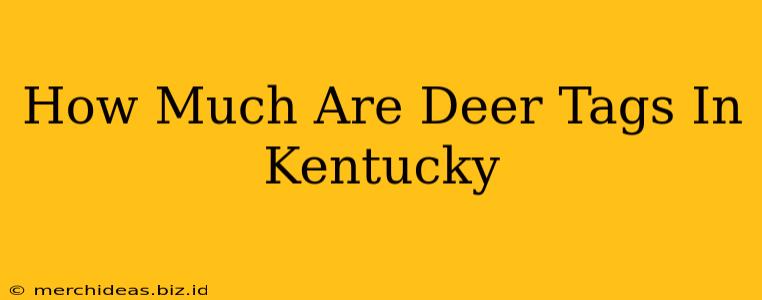 How Much Are Deer Tags In Kentucky