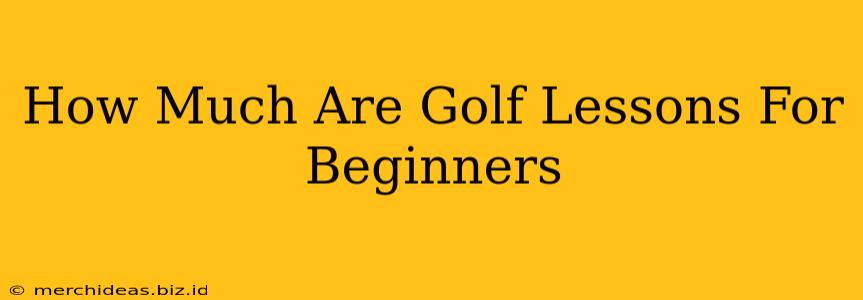How Much Are Golf Lessons For Beginners