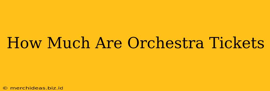 How Much Are Orchestra Tickets